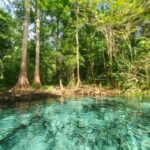 Discovering Florida’s Springs: A Guide to the Sunshine State’s Natural Wonders