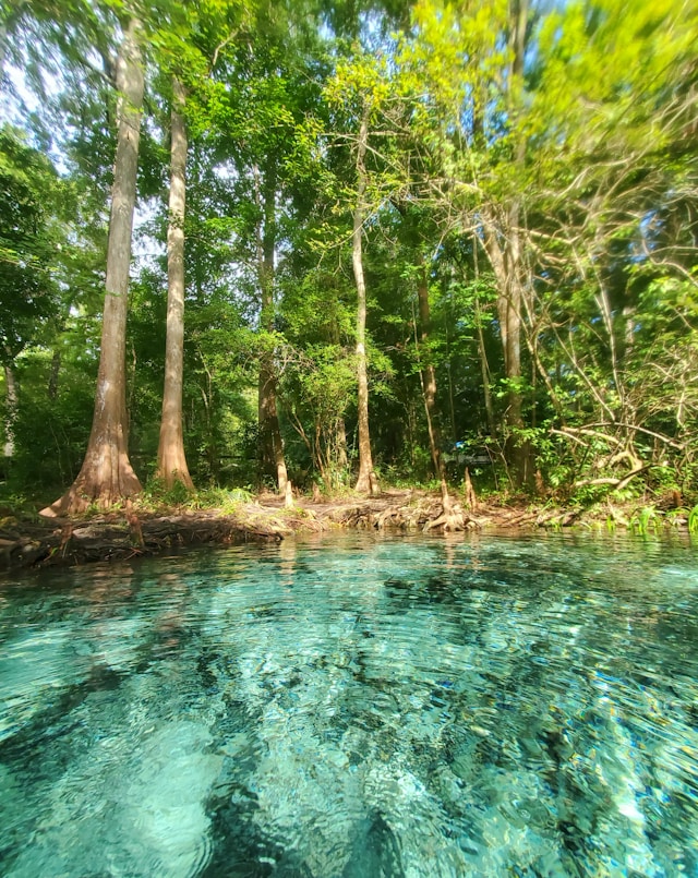 Read more about the article Discovering Florida’s Springs: A Guide to the Sunshine State’s Natural Wonders