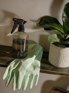 Read more about the article Spring Cleaning Tips and Tricks for a Fresh Start