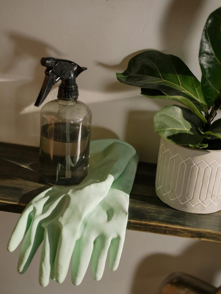 Spring Cleaning Tips and Tricks for a Fresh Start